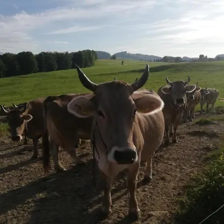 Ferien Auf Dem Billenberghof Apartmán *