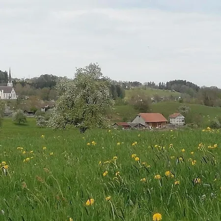 Apartmán Ferien Auf Dem Billenberghof St. Gallen
